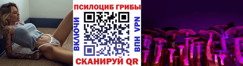 Псилоцибиновые грибы MAGIC MUSHROOMS  Сокол 